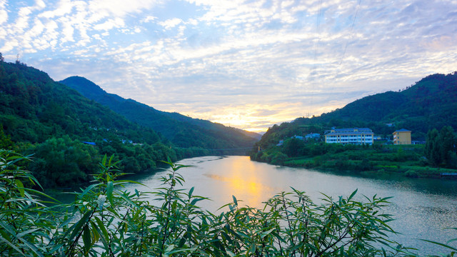 鄂坪大河湾绿树