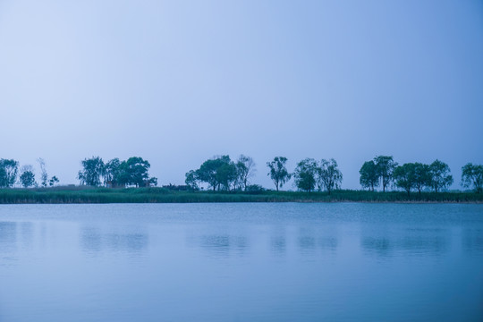 湿地公园