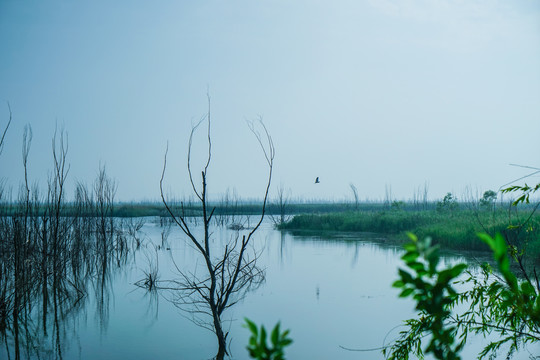 湿地公园