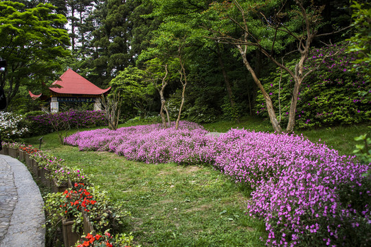 中国江西庐山花径鲜花