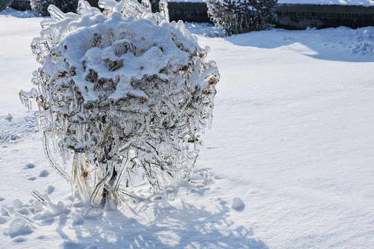 冰挂雪地冬季