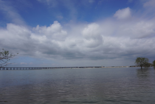 深圳西湾红树林海平线风景