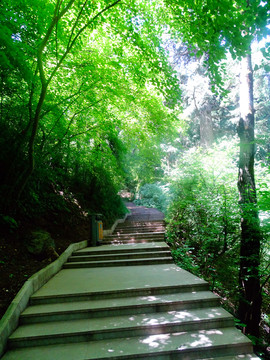 登山步道