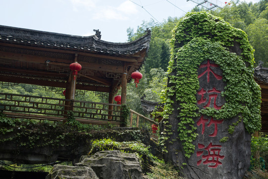 安徽黟县木坑竹海景区