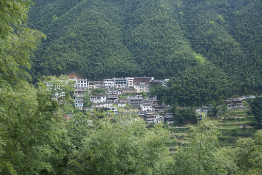 安徽黟县木坑竹海景区的木坑村