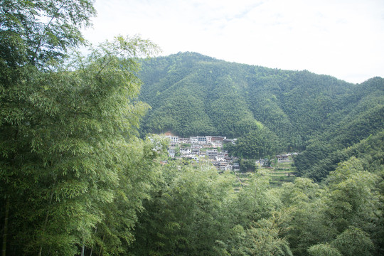 安徽黟县木坑竹海景区的木坑村