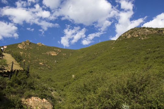 大青山