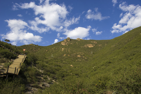 大青山