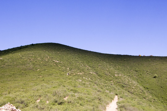 大青山