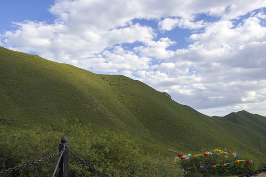 大青山