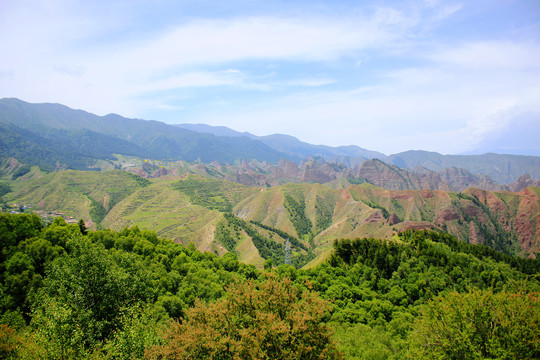 坎布拉国家森林公园