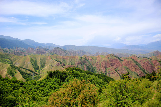 坎布拉国家森林公园