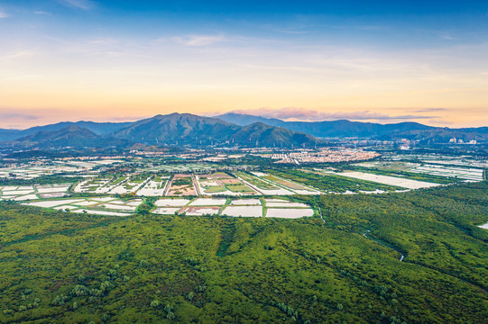 深圳市福田区红树林生态公园