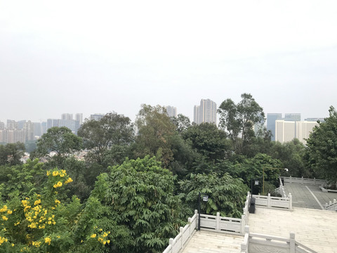 雷岗公园风景