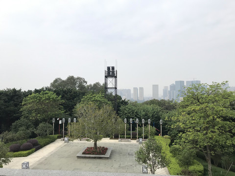 雷岗公园风景