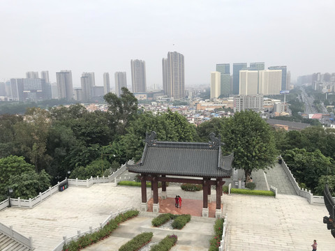 雷岗公园风景