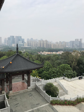 雷岗公园风景