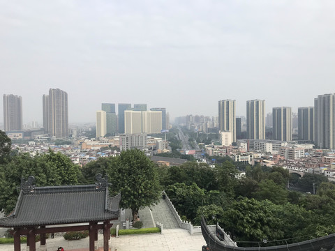 雷岗公园风景