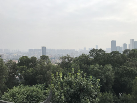 雷岗公园风景