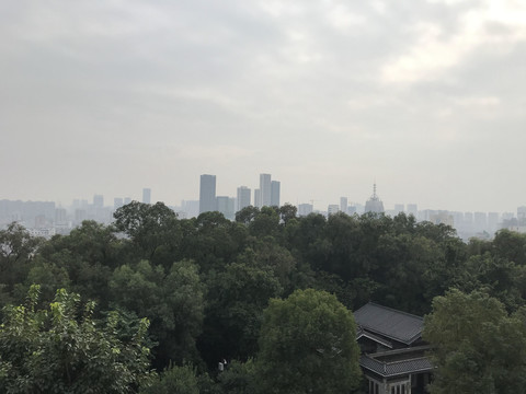 雷岗公园风景