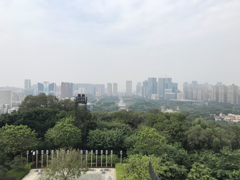 雷岗公园风景