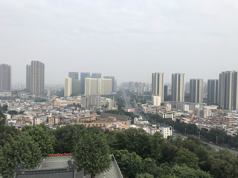 雷岗公园风景