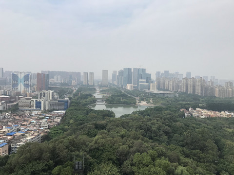 雷岗公园风景