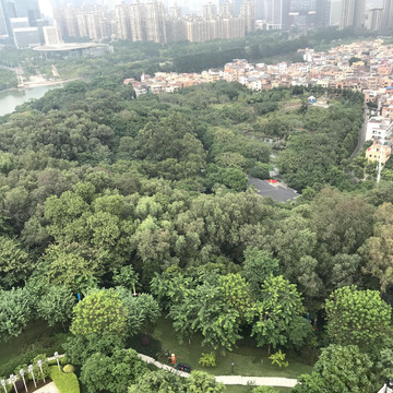 雷岗公园风景