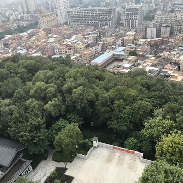 雷岗公园风景