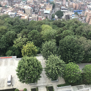 雷岗公园风景