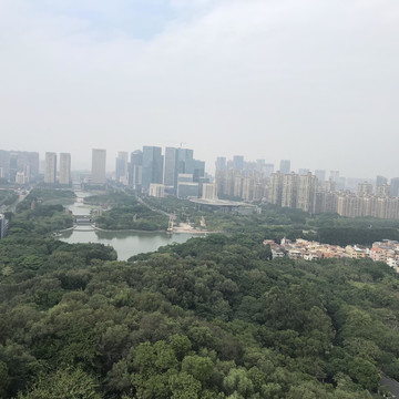 雷岗公园风景