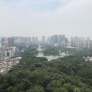 雷岗公园风景