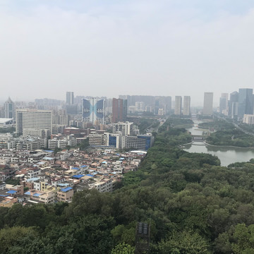 雷岗公园风景