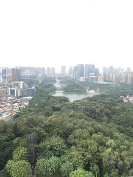 雷岗公园风景