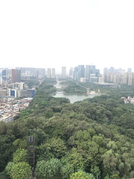 雷岗公园风景