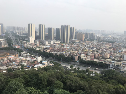 雷岗公园风景