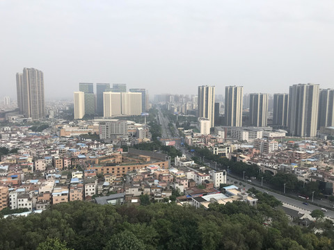 雷岗公园风景