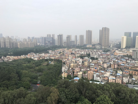 雷岗公园风景