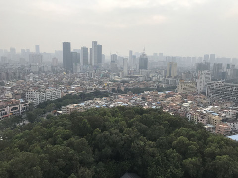 雷岗公园风景