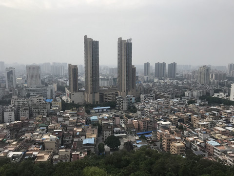 雷岗公园风景