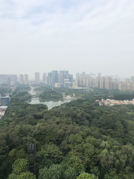 雷岗公园风景