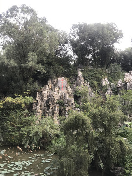 雷岗公园风景