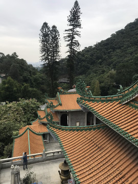 南海湾森林公园