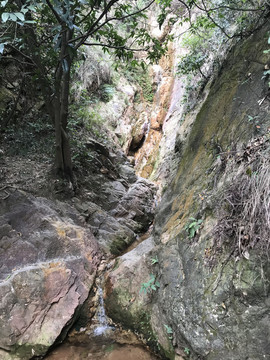 南海湾森林公园