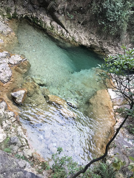南海湾森林公园