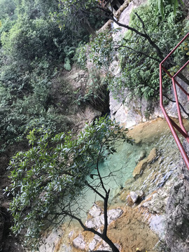 南海湾森林公园