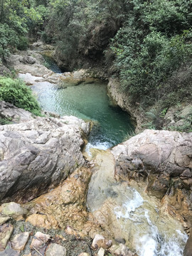 南海湾森林公园