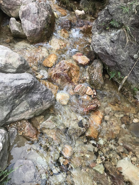 南海湾森林公园