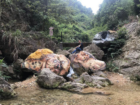 南海湾森林公园