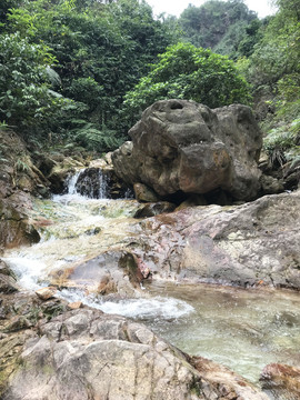 南海湾森林公园